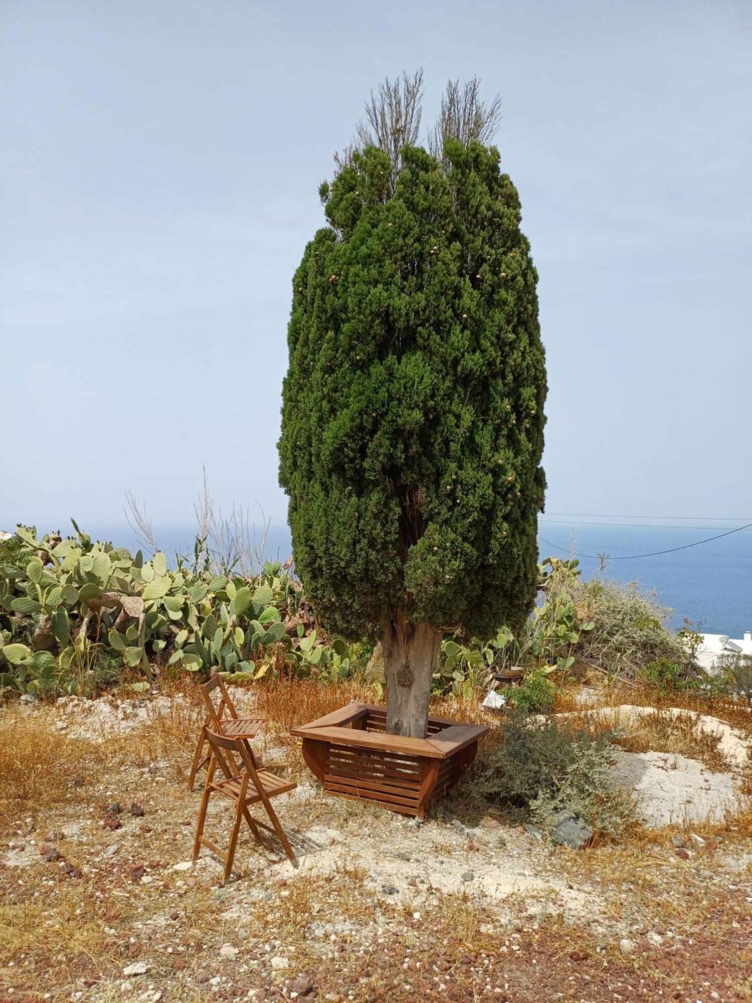 فيلا 'Irene' Cycladic House With Sunrise And Sea View! Foinikiá المظهر الخارجي الصورة